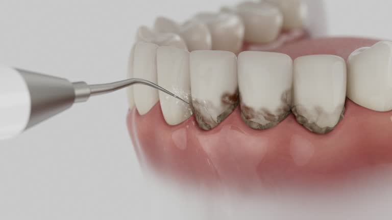 Reliable Dental contractor in Lake Delton, WI by Dentist Open Now
